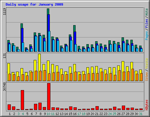 Daily usage for January 2009