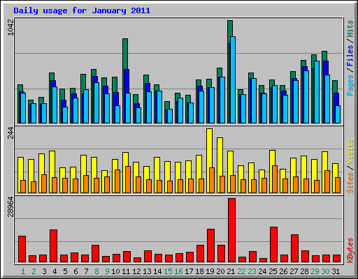 Daily usage for January 2011