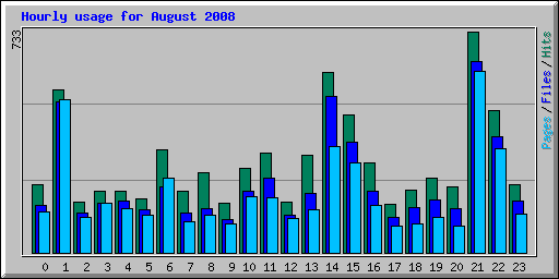 Hourly usage for August 2008