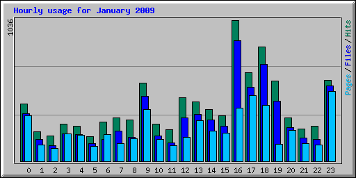 Hourly usage for January 2009