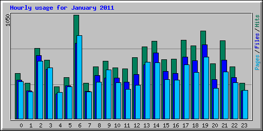 Hourly usage for January 2011