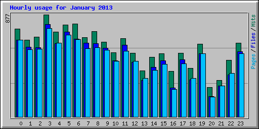 Hourly usage for January 2013