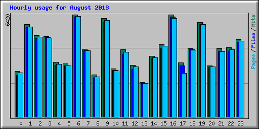 Hourly usage for August 2013