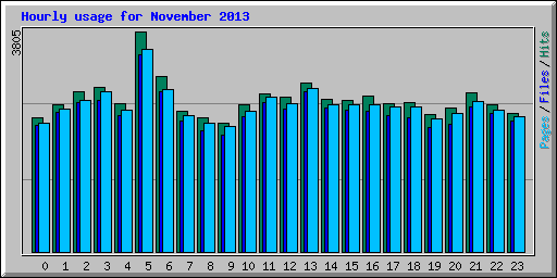 Hourly usage for November 2013