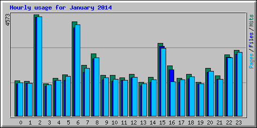 Hourly usage for January 2014