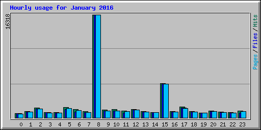 Hourly usage for January 2016