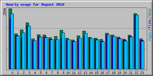 Hourly usage for August 2016