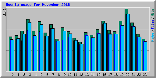 Hourly usage for November 2016