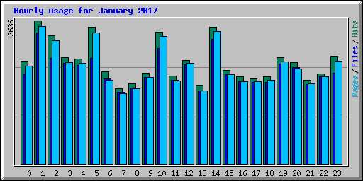 Hourly usage for January 2017