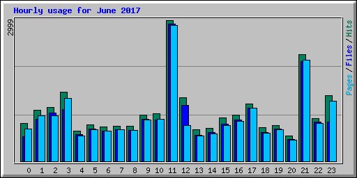 Hourly usage for June 2017